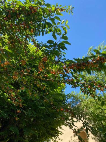 Bed & Breakfast Carcazen