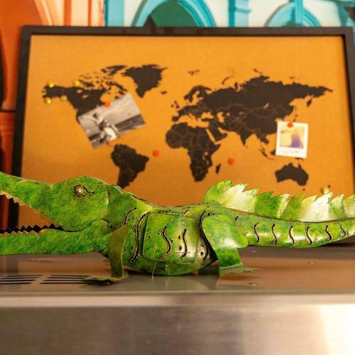 Apartamentos Studio Domloc