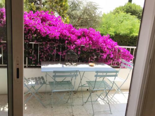 Apartamento Le Solemar