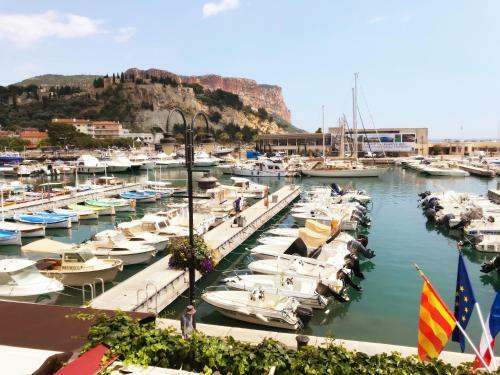 Apartamento Le Palmyre