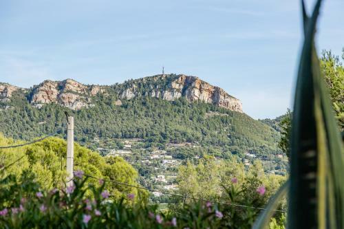 Apartamento Le Cap Par Dodo-a-cassis
