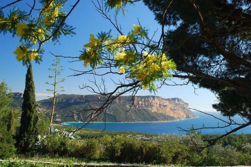Apartamento Belle Vue Mer