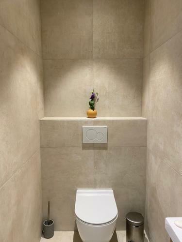 Apartamento Grand 2 Pieces Gray D'albion