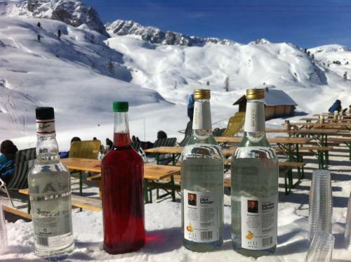Hostal Gjaid Alm