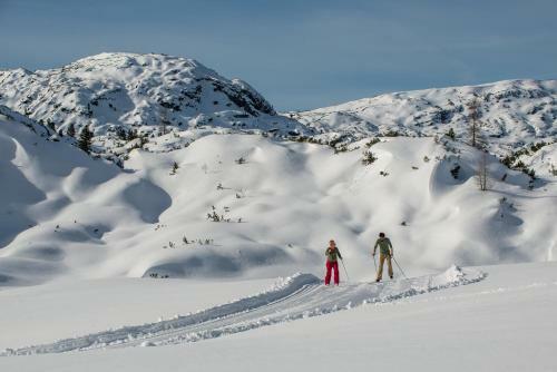 Hostal Gjaid Alm