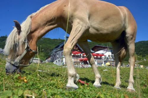 Hostal Gjaid Alm