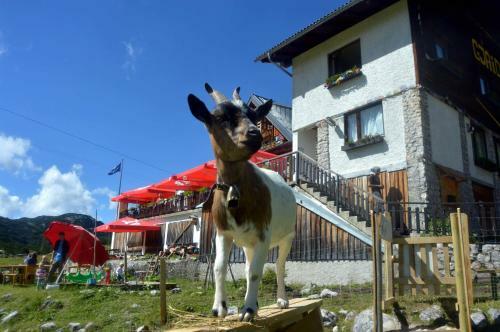 Hostal Gjaid Alm