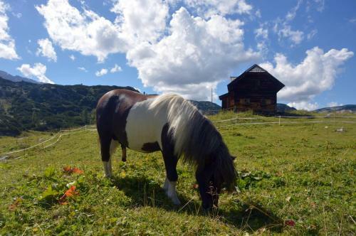 Hostal Gjaid Alm
