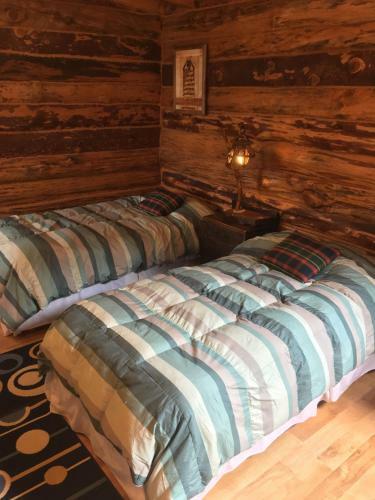 Lodge Caba�as Brazo Huemul