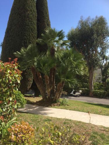 Apartamento Nice Booking Cannes Alexandra Palace St