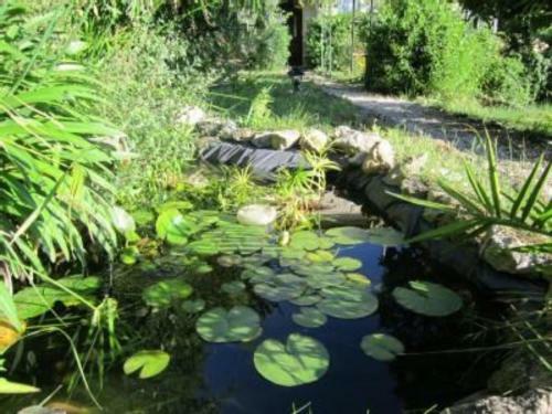 Bed & Breakfast Chambres D'h�tes Cottage Bellevue