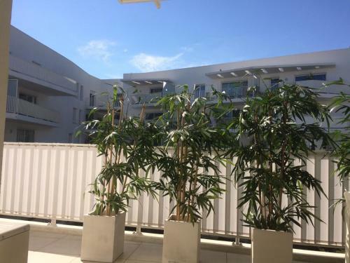 Apartamento Studio Cannes Maria
