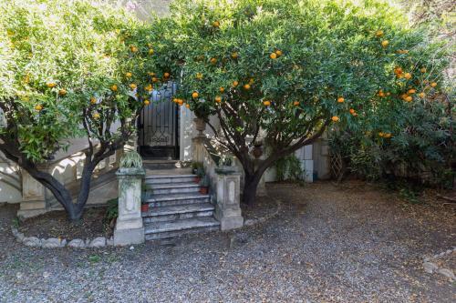Apartamento Cannes Croisette 2