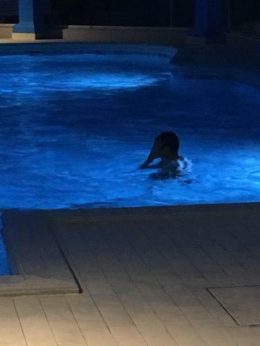 Apartamento Cannes Eden Park