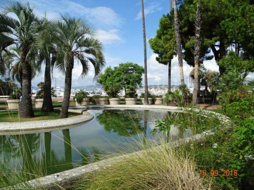 Apartamento Palm Beach Cannes Azur
