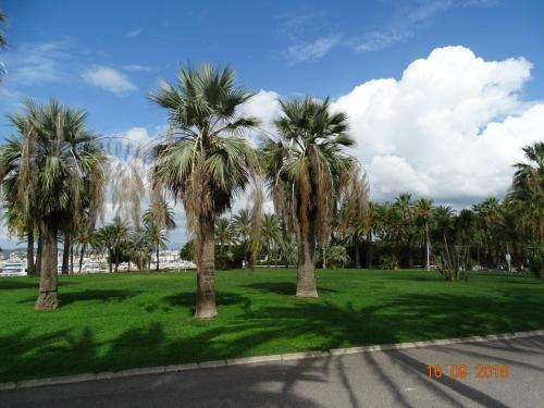 Apartamento Palm Beach Cannes Azur
