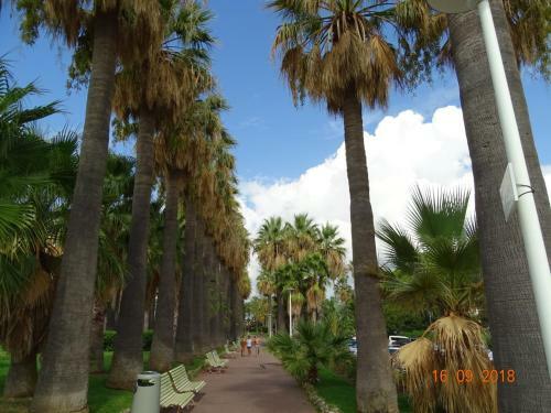 Apartamento Palm Beach Cannes Azur