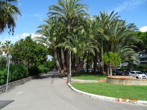 Apartamento Palm Beach Cannes Azur