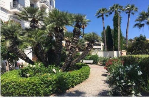 Apartamento Winter Palace Cannes