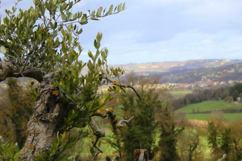 Bed & Breakfast Casale Il Ventaglio