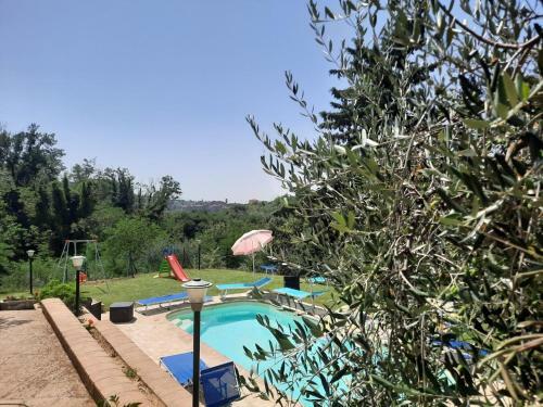 Il Mandorlo