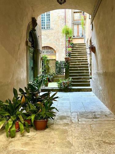 Stylish Umbrian Apartment Garden Pool & Views