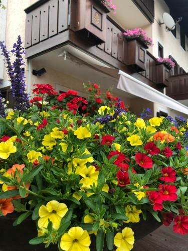 Apartamento Villa Tisot