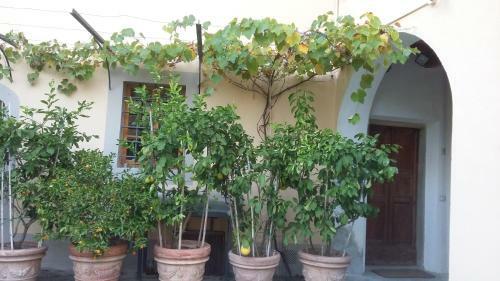 Palagetto Di Settignano