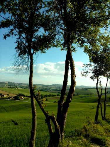 Il Casale Dorato