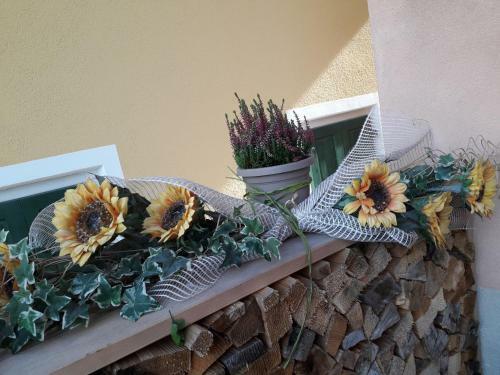 Apartamento Casa Scalet