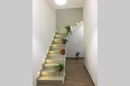 Apartamento Casa Vacanza Archimede
