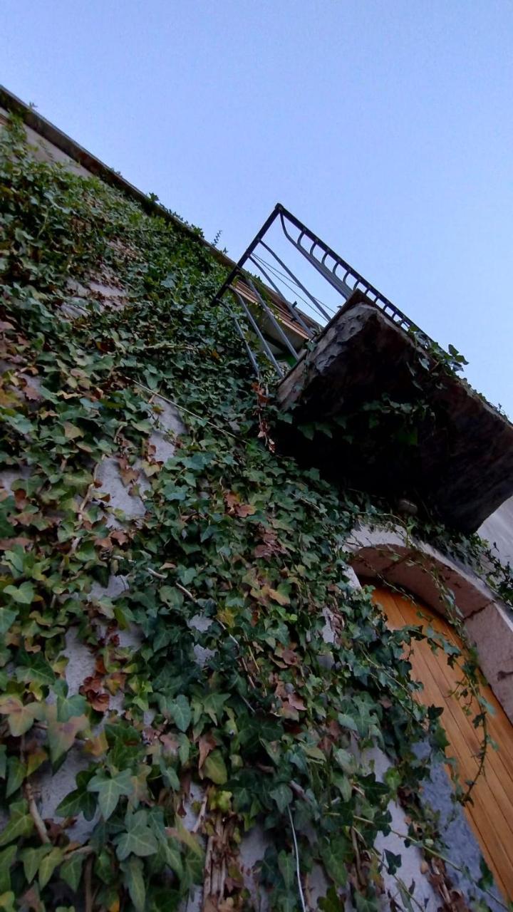Agroturismo Villa Diana