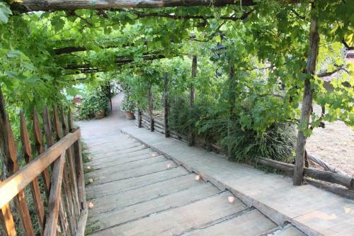 Villa Alce