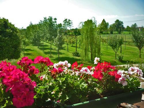 Bed & Breakfast La Fonte