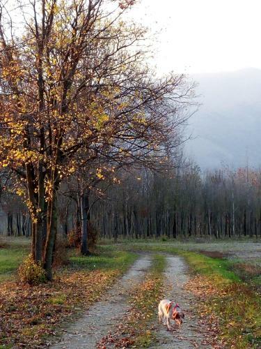 Bed & Breakfast La Fonte