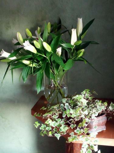 Bed & Breakfast La Fonte
