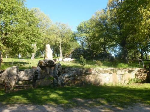 Agroturismo Fattoria Sos Astores