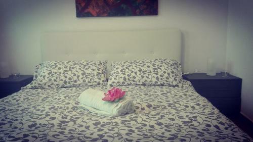 Apartamento Casa Del Loto