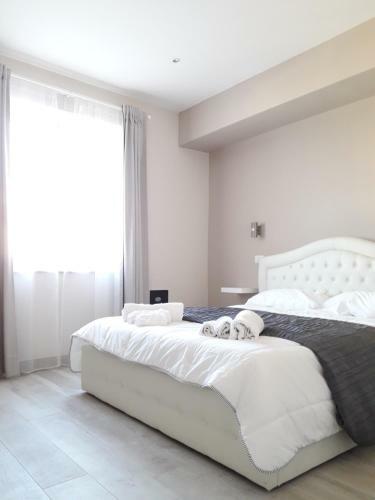 B&B Purple Italy