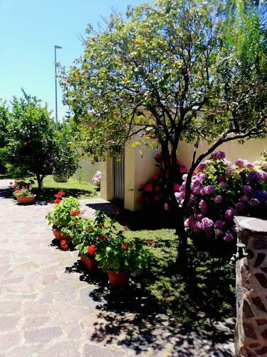Apartamento A Casa Di Iole