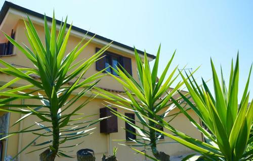 Fiumicino Apt, Apartment & Sea