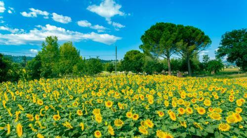 Apartamento Villa Licinia