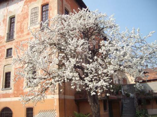 Apartamento Il Castello Delle Meraviglie