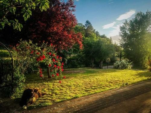 Bed & Breakfast Il Rovo Di More
