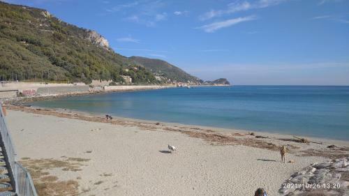 Apartamento Casa Mariuccia A Due Passi Dal Mare