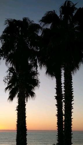 Apartamento Casa Mariuccia A Due Passi Dal Mare
