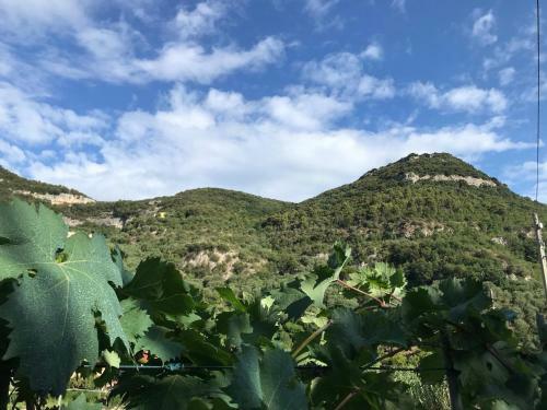 Apartamento Rocca Di Corno Guest House