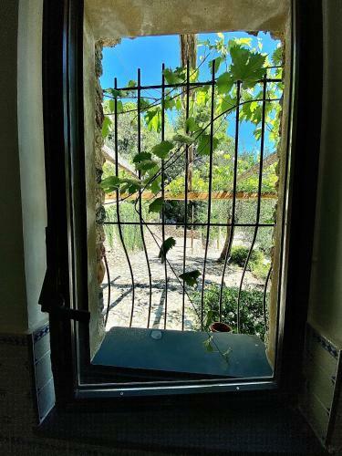 Casa Vacanze A Lea L'ua