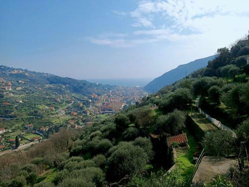 Hostal C� Degli Ulivi