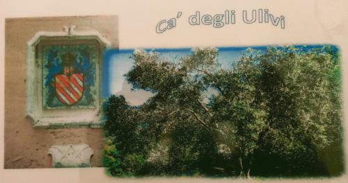 Hostal C� Degli Ulivi